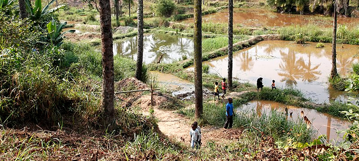 fish-pond
